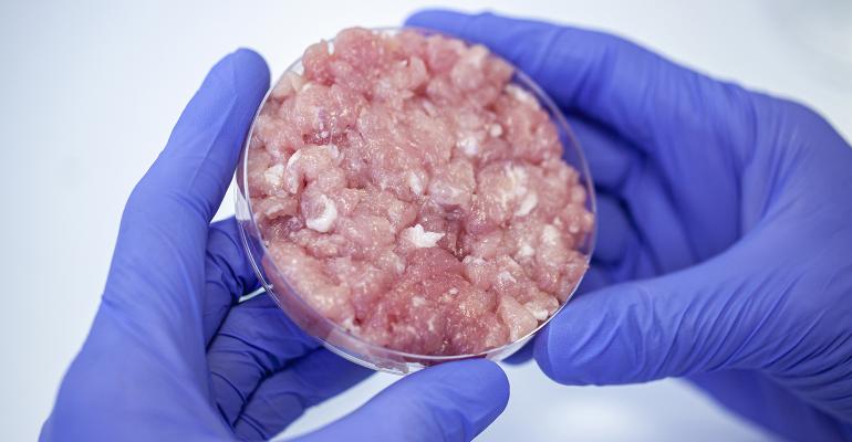 RS, lab grow meat, cultivated meat, food safety, petri dish, lab, Mindful Media, iStock-1390219629.jpg